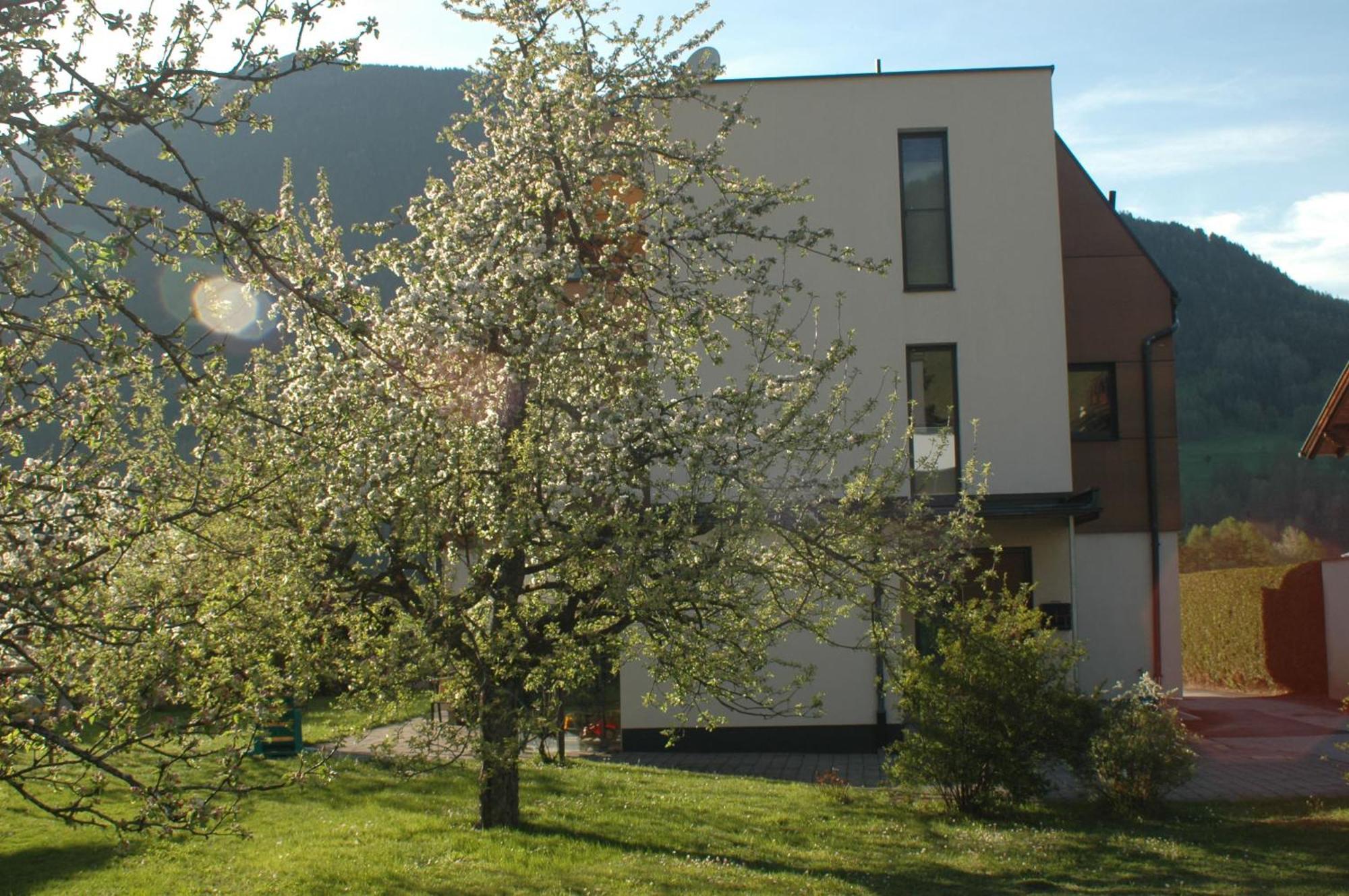 Apartament Haus Hofer Mieders Zewnętrze zdjęcie